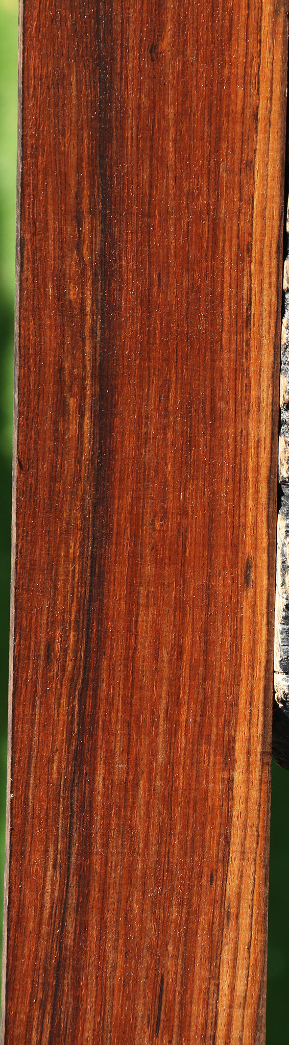 Quartersawn Cocobolo Instrument Micro Lumber