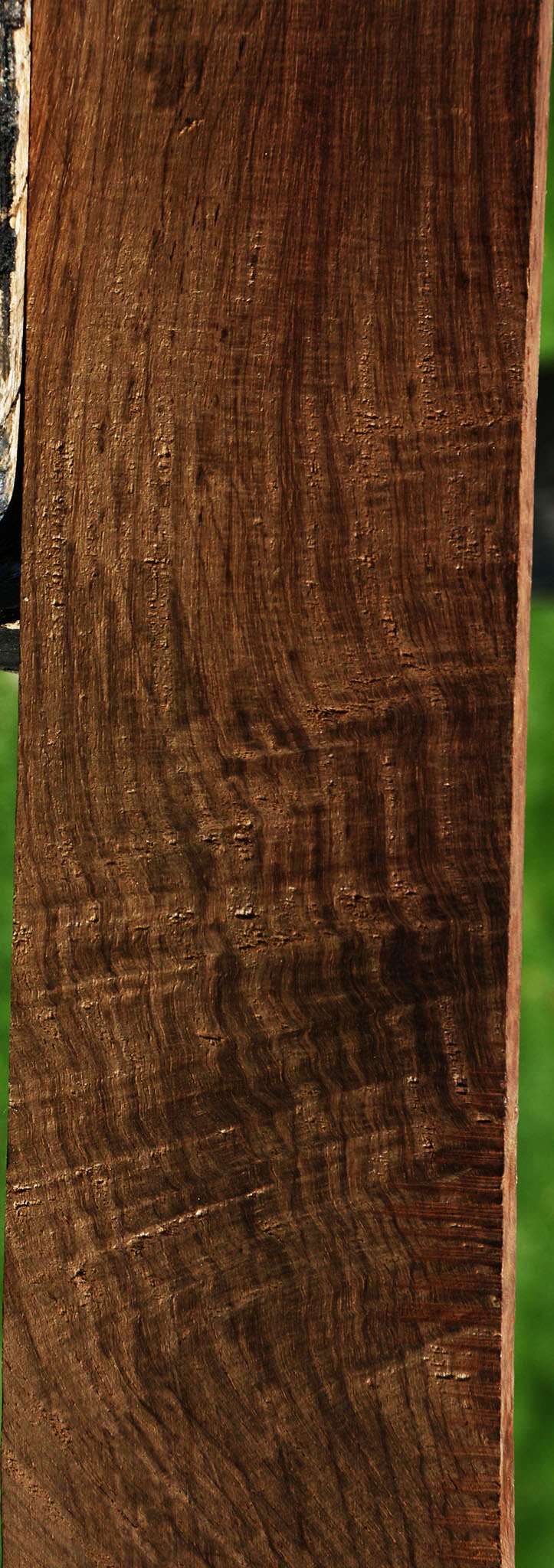 Extra Fancy Panama Rosewood Lumber