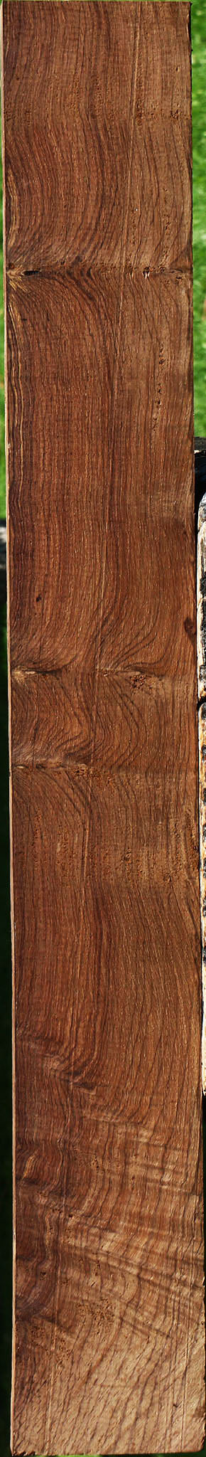 Extra Fancy Panama Rosewood Lumber