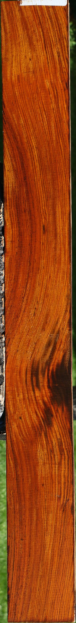 Figured Cocobolo Micro Lumber