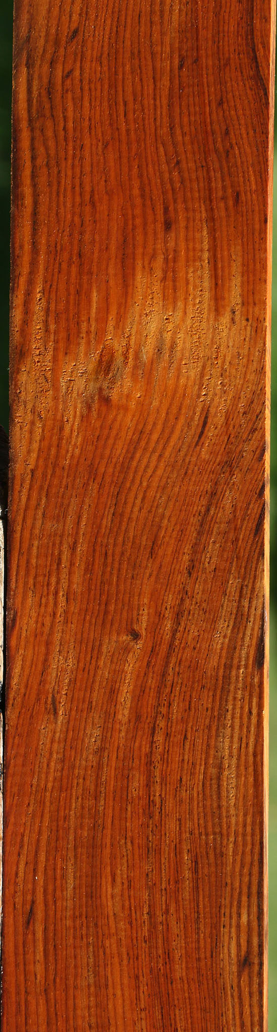 Figured Cocobolo Micro Lumber