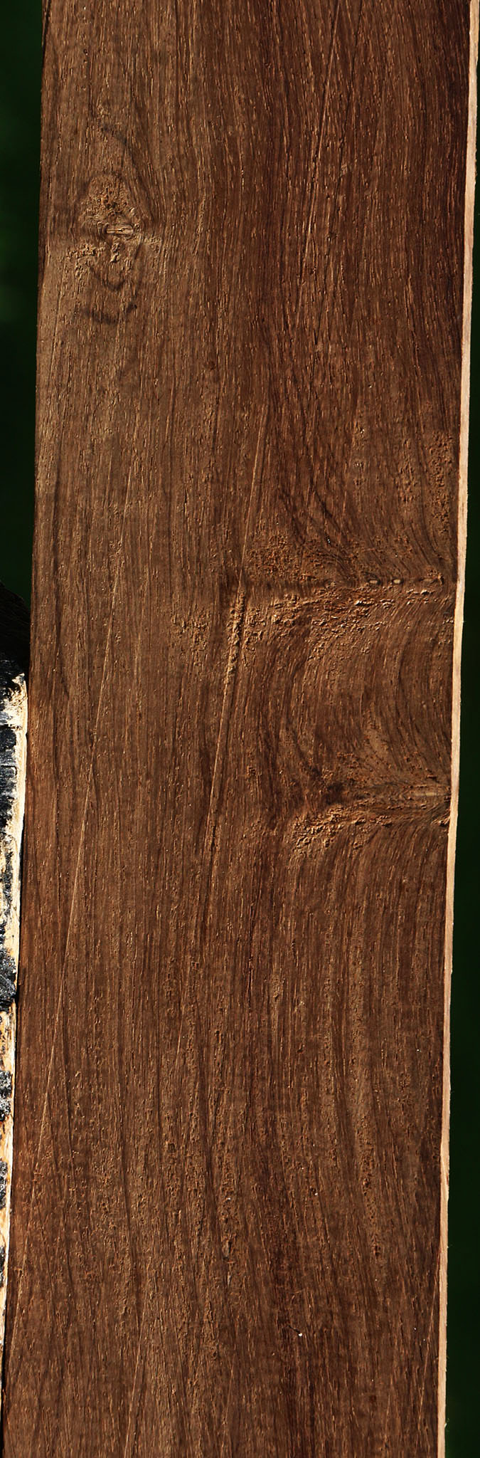Figured Panama Rosewood Micro Lumber