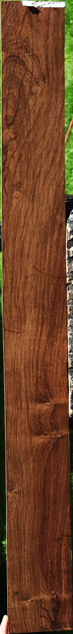 Figured Panama Rosewood Micro Lumber