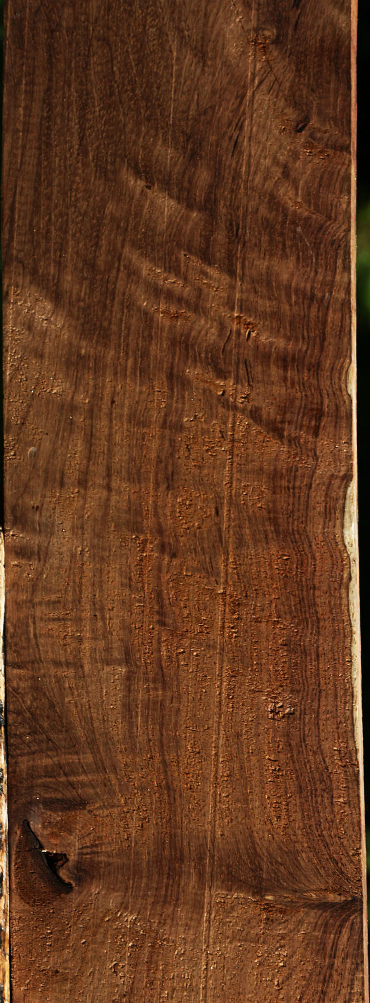 Extra Fancy Panama Rosewood Lumber