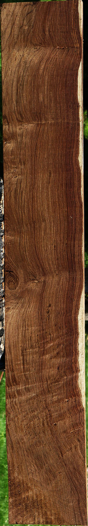 Extra Fancy Panama Rosewood Lumber