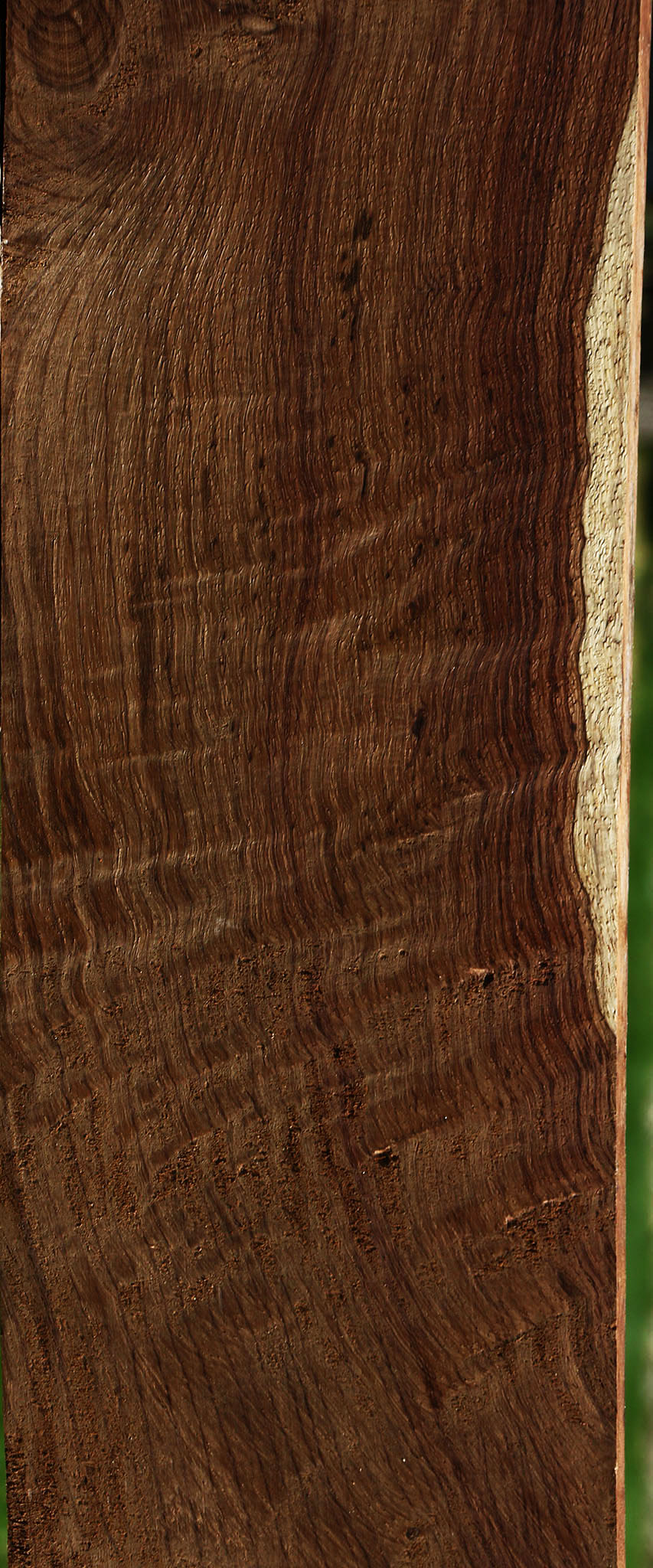 Extra Fancy Panama Rosewood Lumber