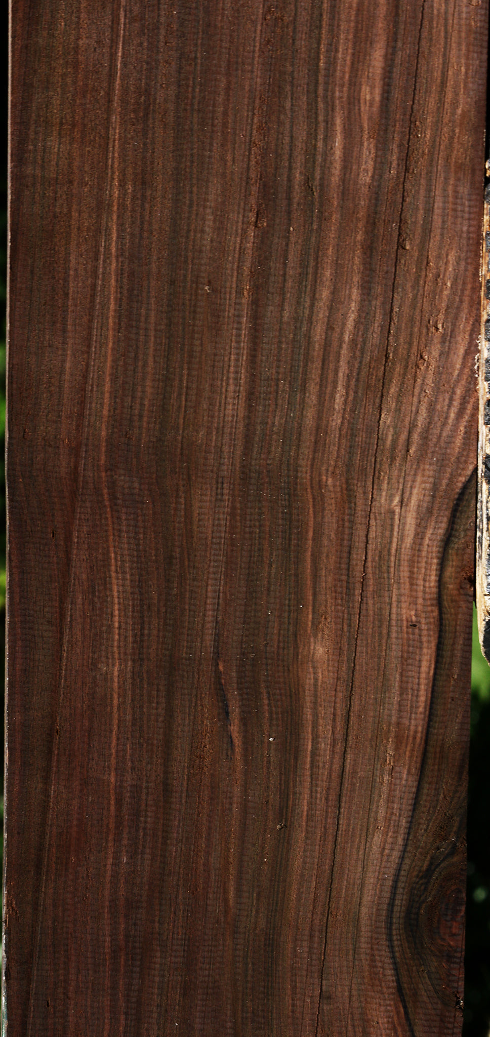 Mun Ebony Lumber