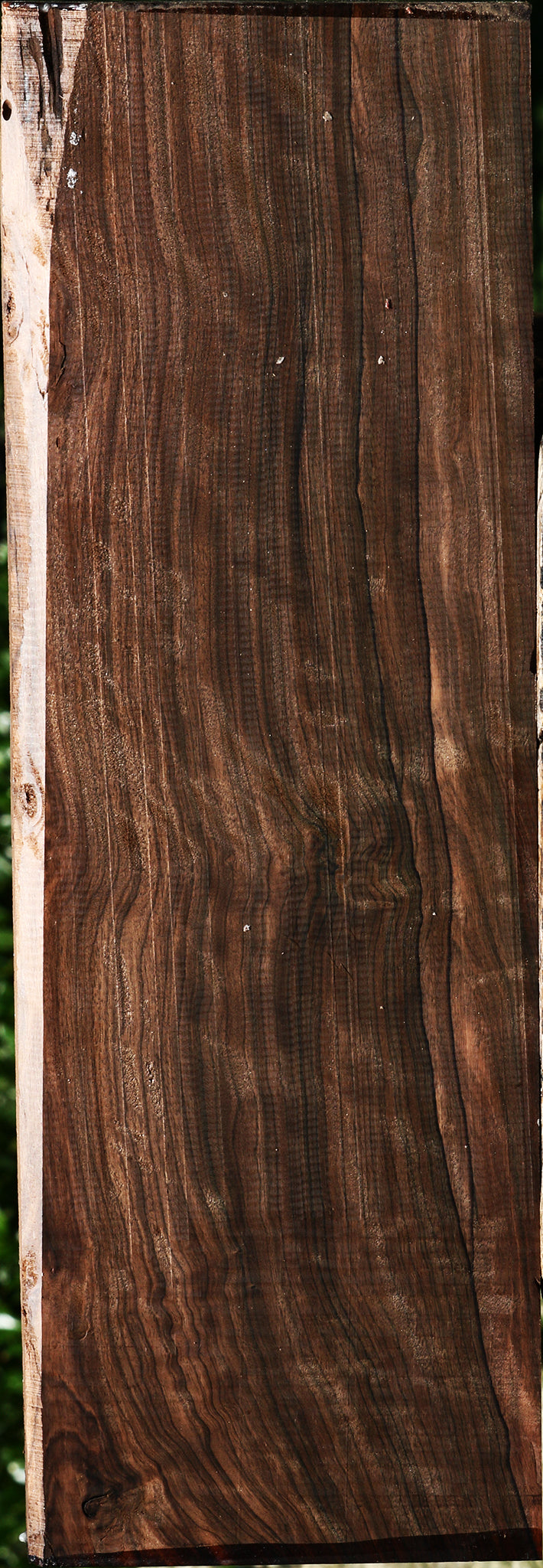 Extra Fancy Mun Ebony Instrument Lumber