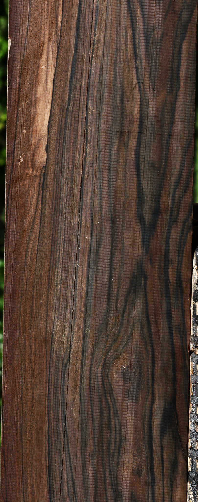 Figured Mun Ebony Lumber