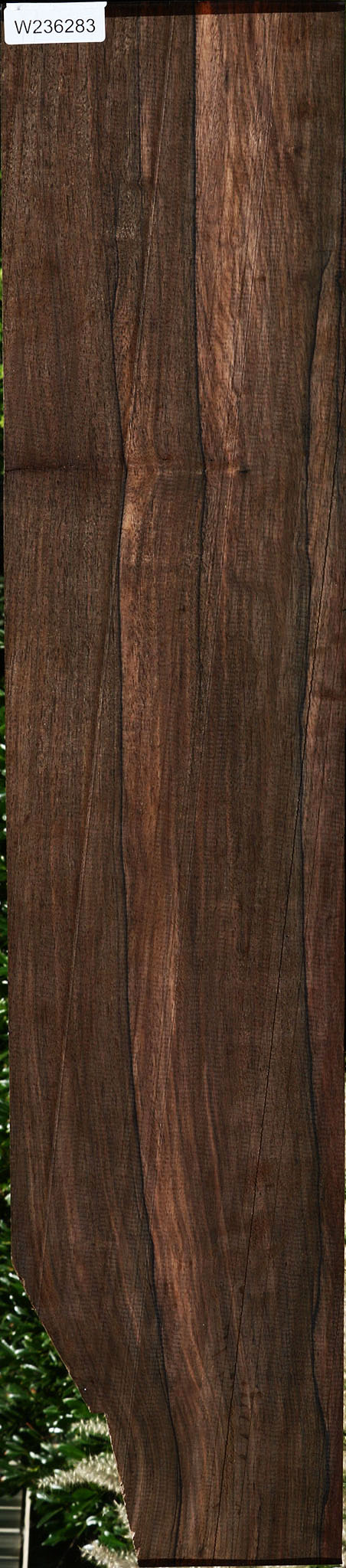 Extra Fancy Mun Ebony Lumber