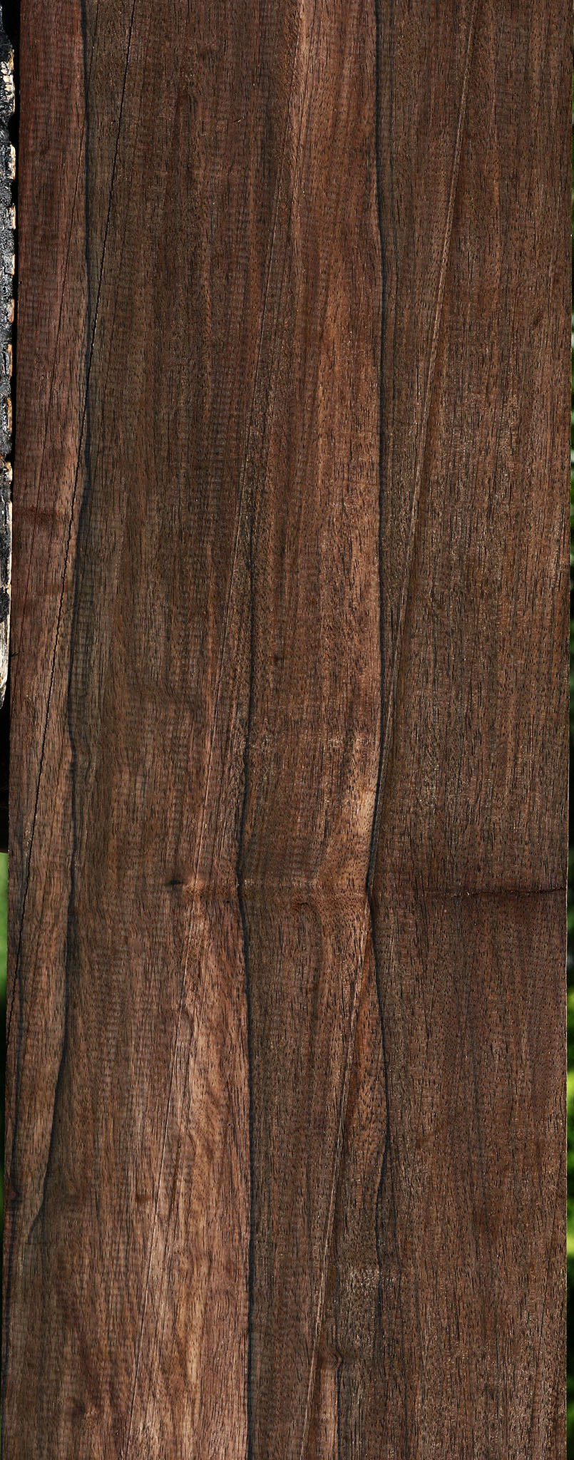 Extra Fancy Mun Ebony Lumber