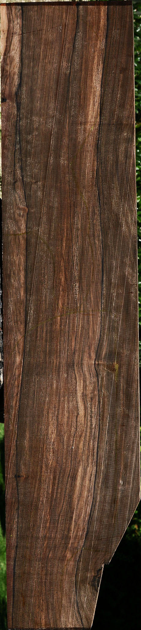 Extra Fancy Mun Ebony Lumber