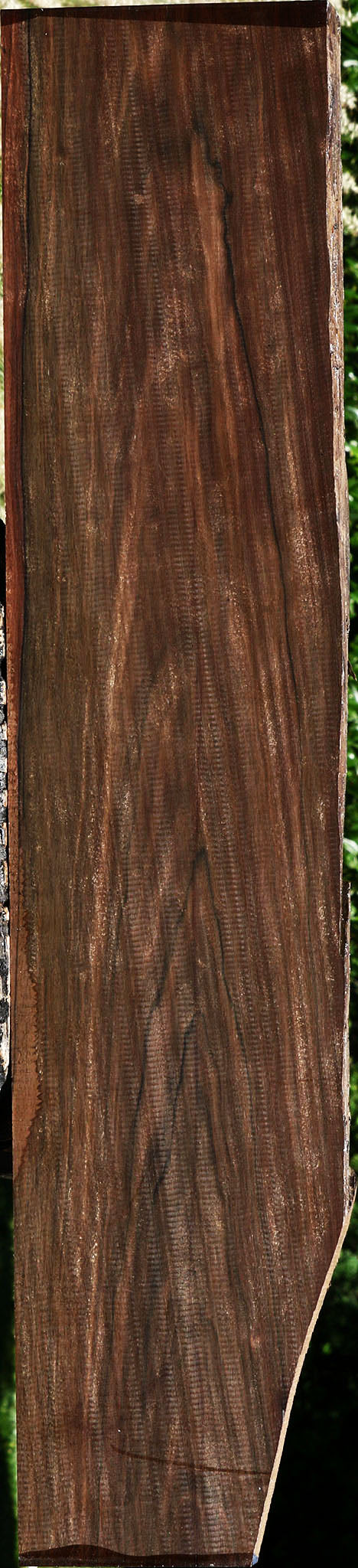 Figured Mun Ebony Lumber