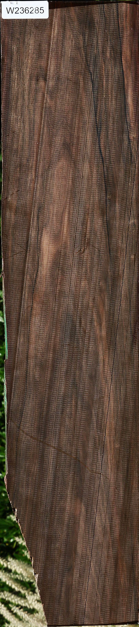 Figured Mun Ebony Lumber