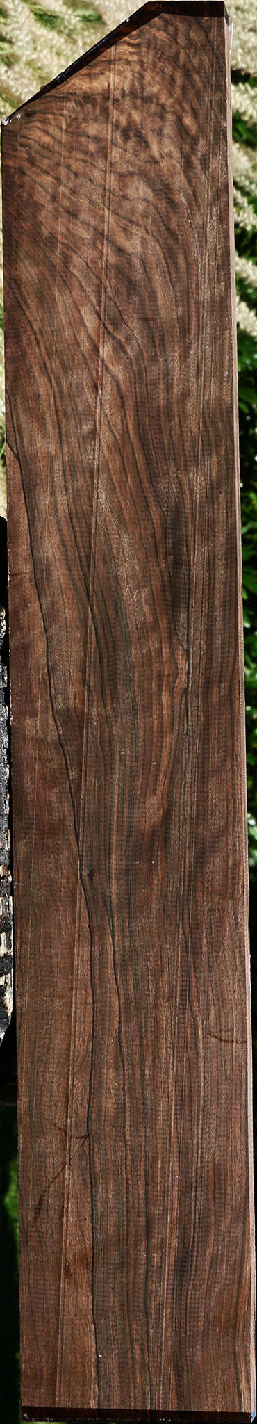 Extra Fancy Mun Ebony Lumber