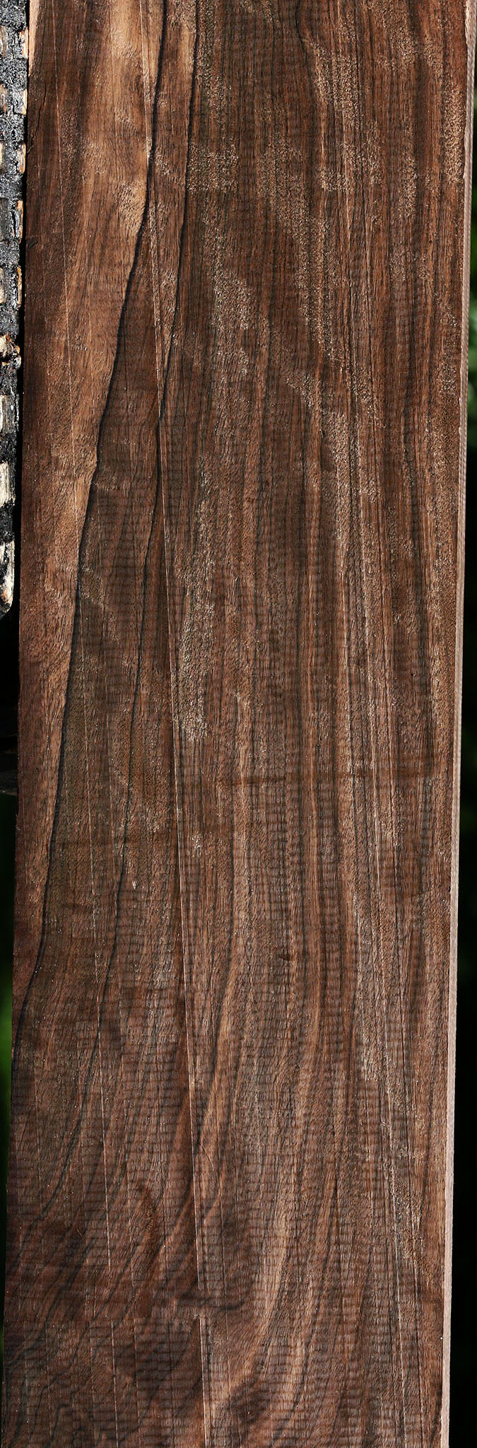 Extra Fancy Mun Ebony Lumber