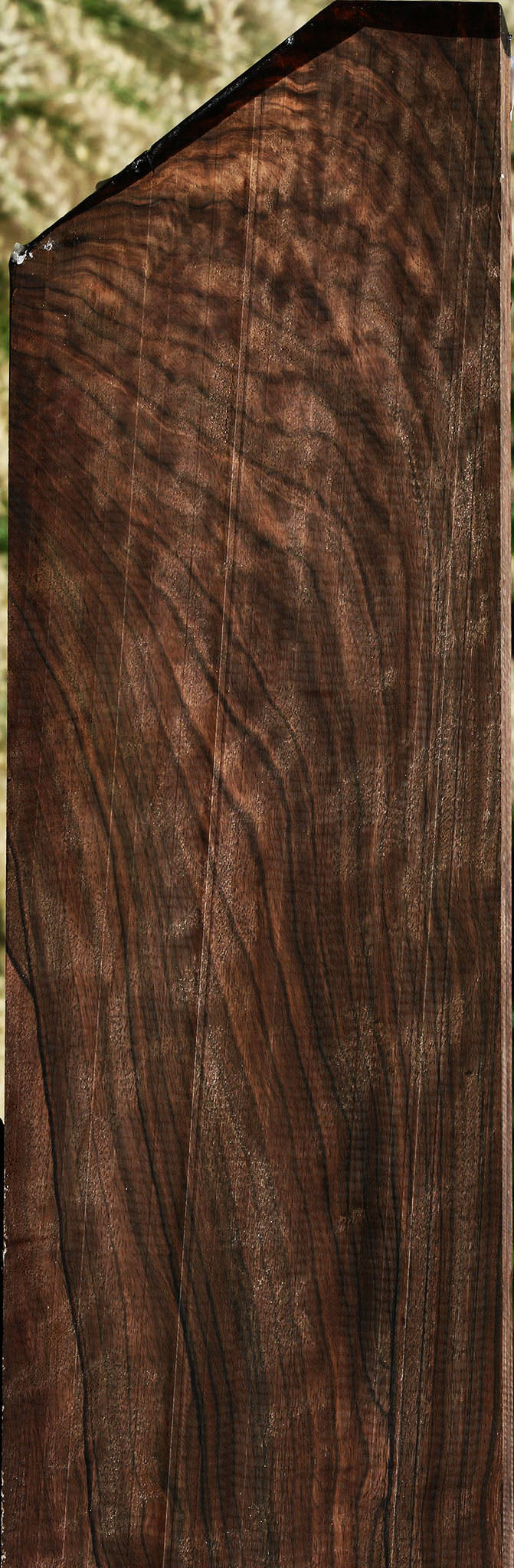 Extra Fancy Mun Ebony Lumber