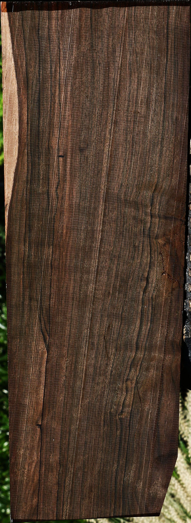 Extra Fancy Mun Ebony Instrument Lumber