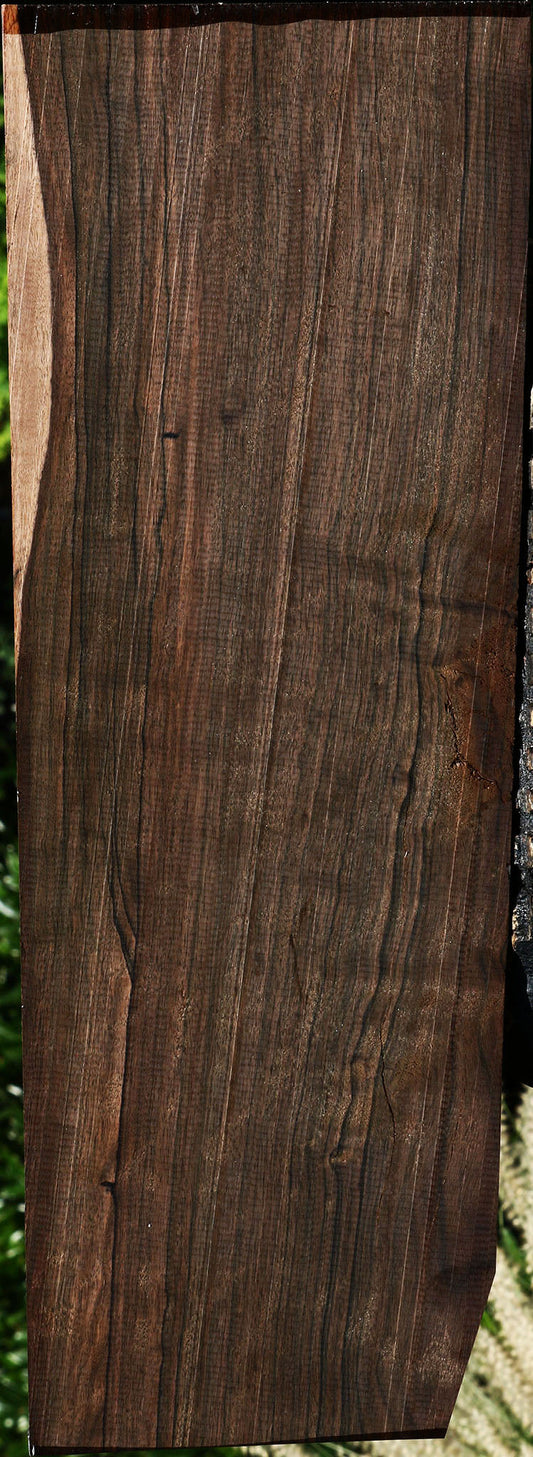 Extra Fancy Mun Ebony Instrument Lumber