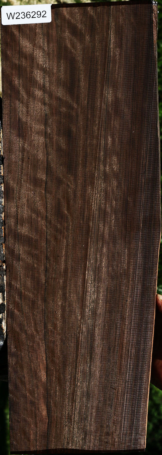 Extra Fancy Mun Ebony Instrument Lumber