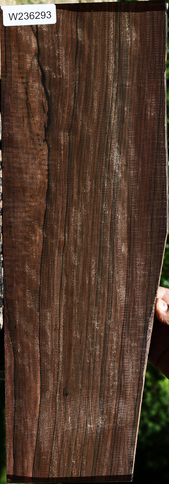 Extra Fancy Mun Ebony Instrument Lumber