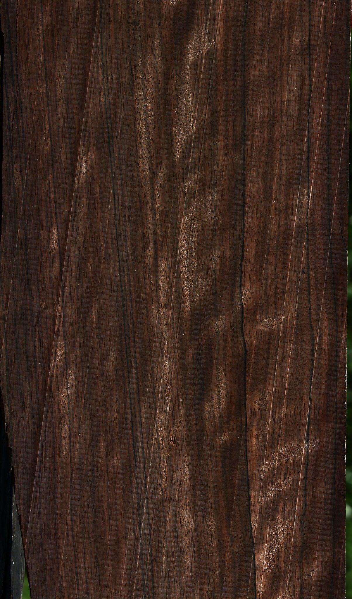 Extra Fancy Mun Ebony Instrument Lumber