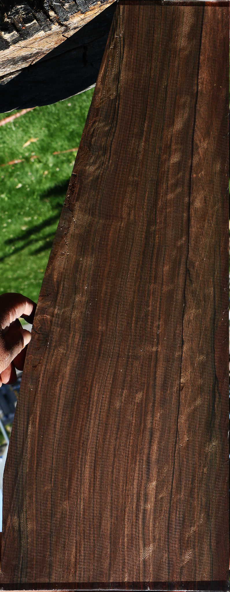 Extra Fancy Mun Ebony Instrument Lumber