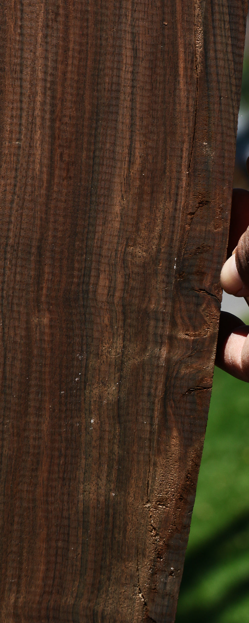 Extra Fancy Mun Ebony Instrument Lumber