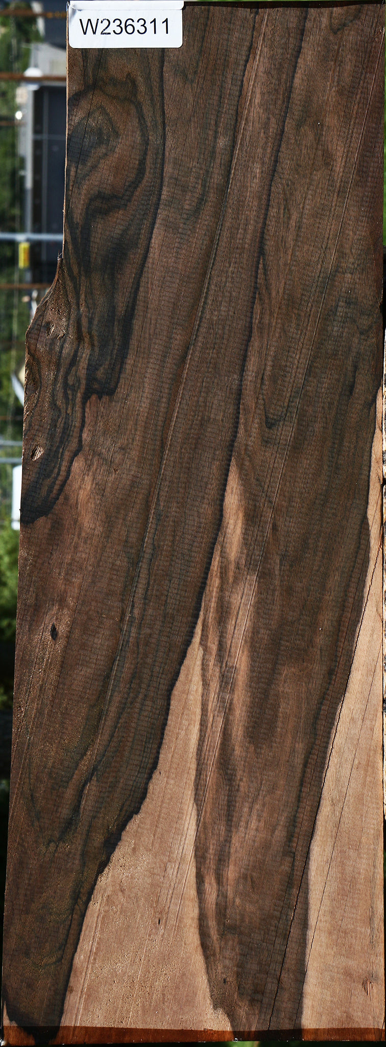 Figured Mun Ebony Instrument Micro Lumber