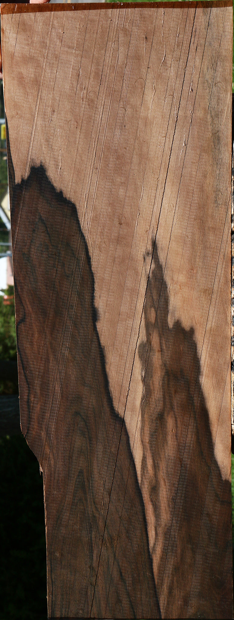 Figured Mun Ebony Instrument Micro Lumber