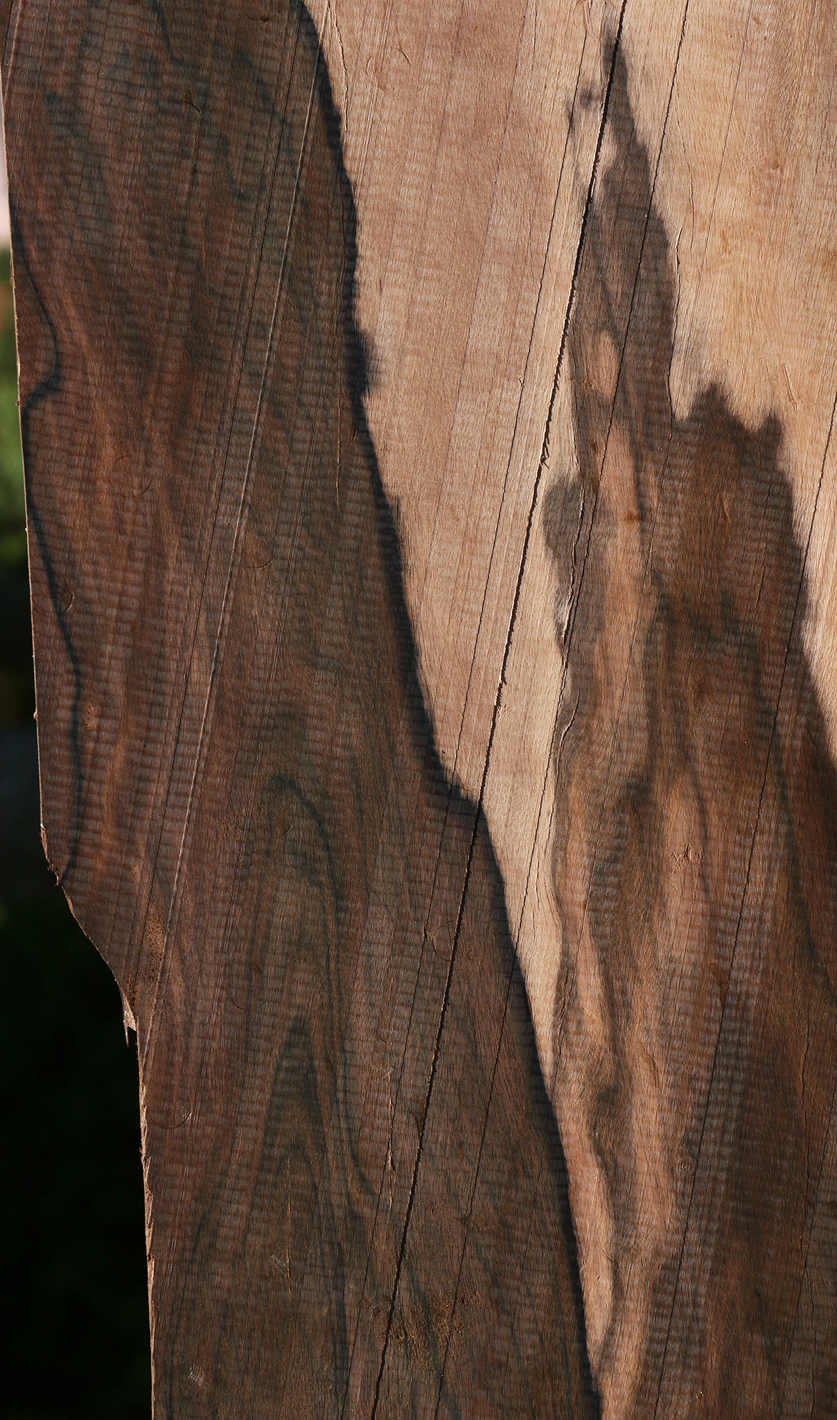 Figured Mun Ebony Instrument Micro Lumber