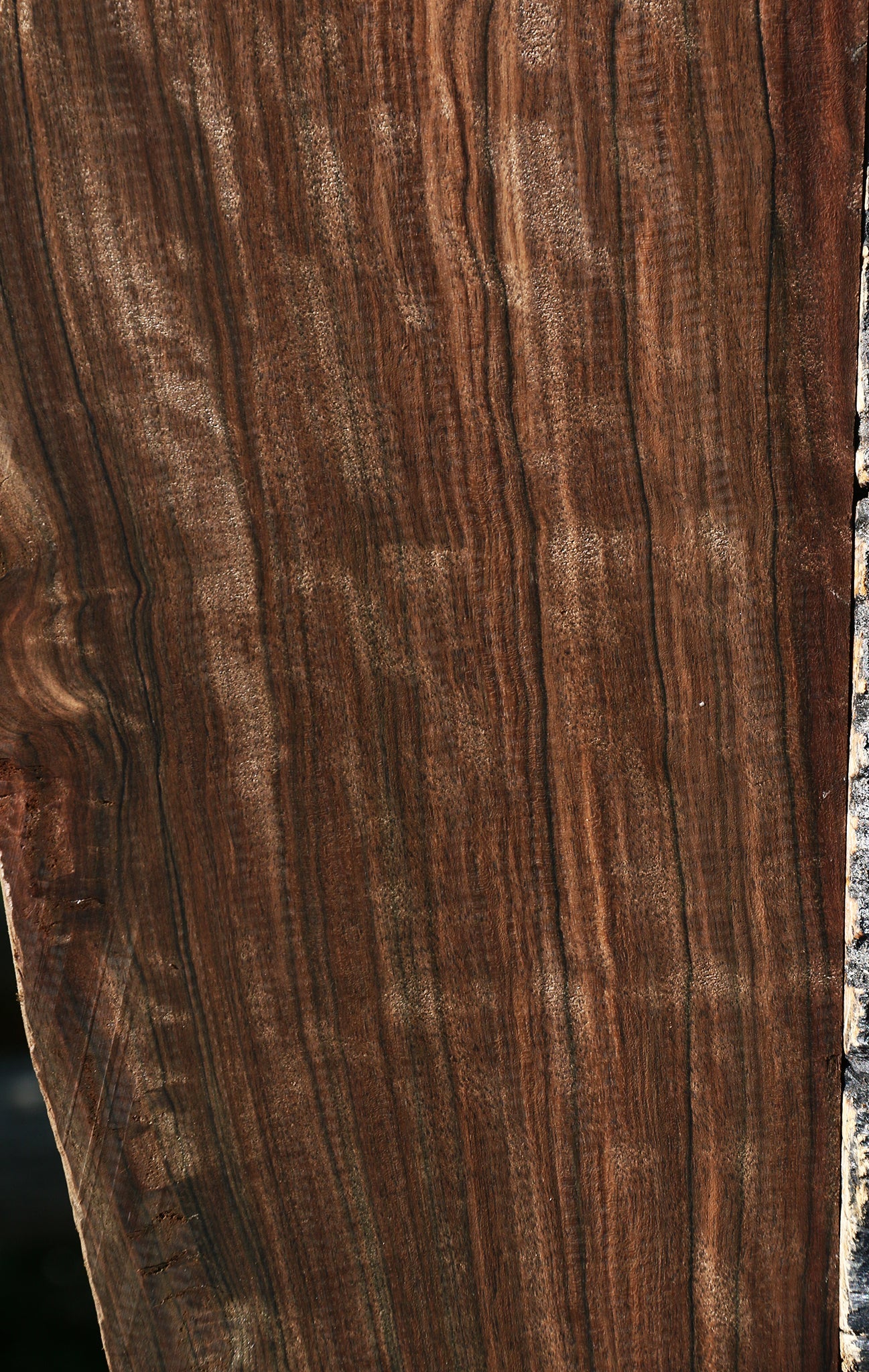 Extra Fancy Mun Ebony Instrument Lumber