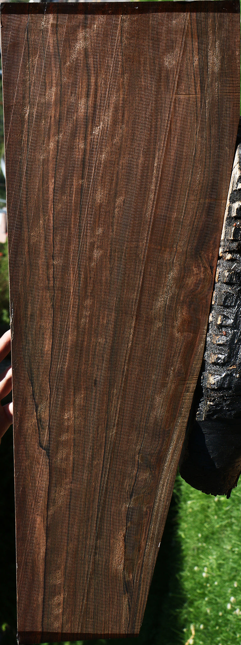 Extra Fancy Mun Ebony Instrument Lumber