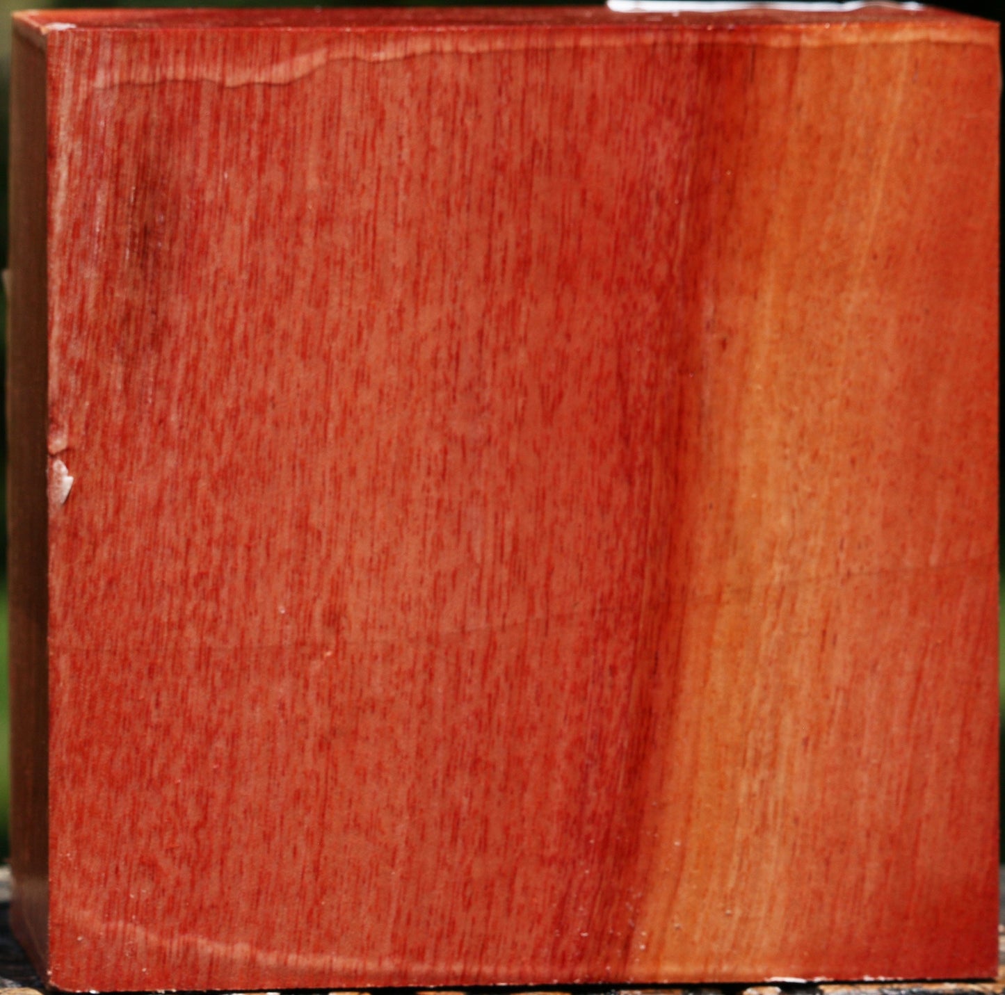 Pepperwood Bowl Blank