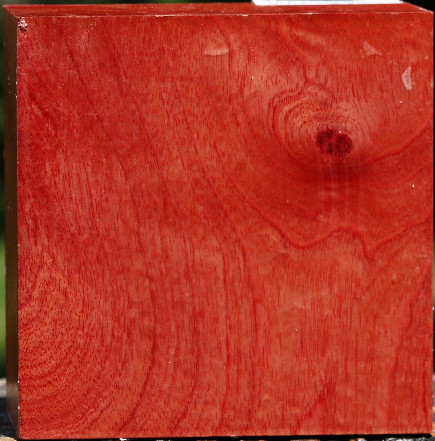 Pepperwood Bowl Blank