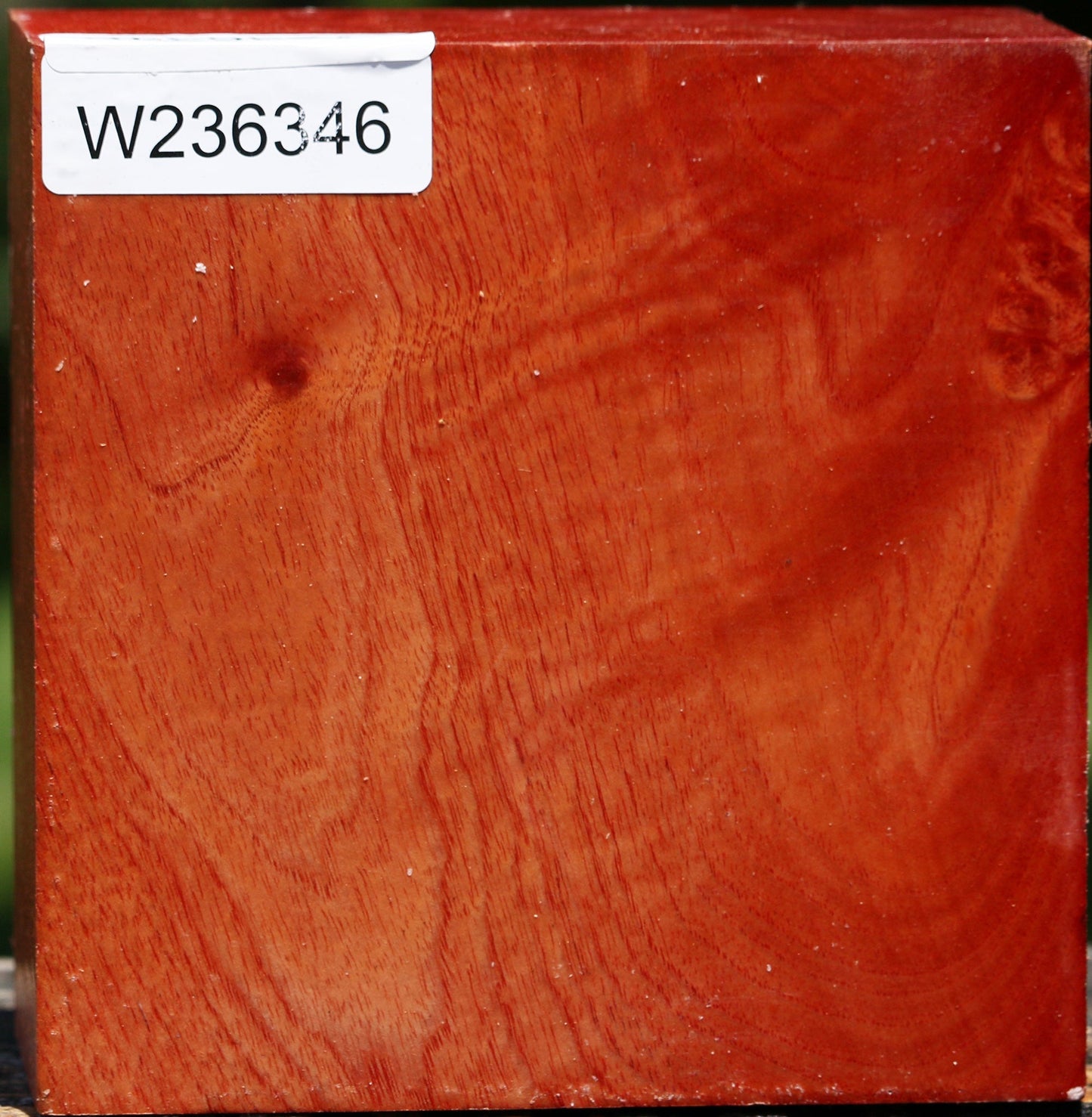 Pepperwood Bowl Blank