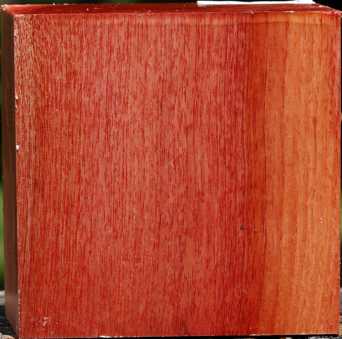 Pepperwood Bowl Blank