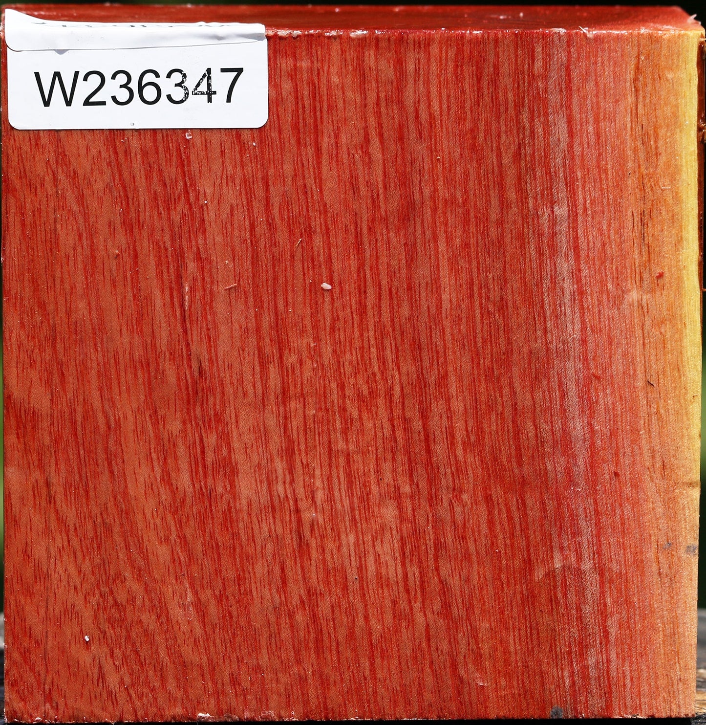 Pepperwood Bowl Blank