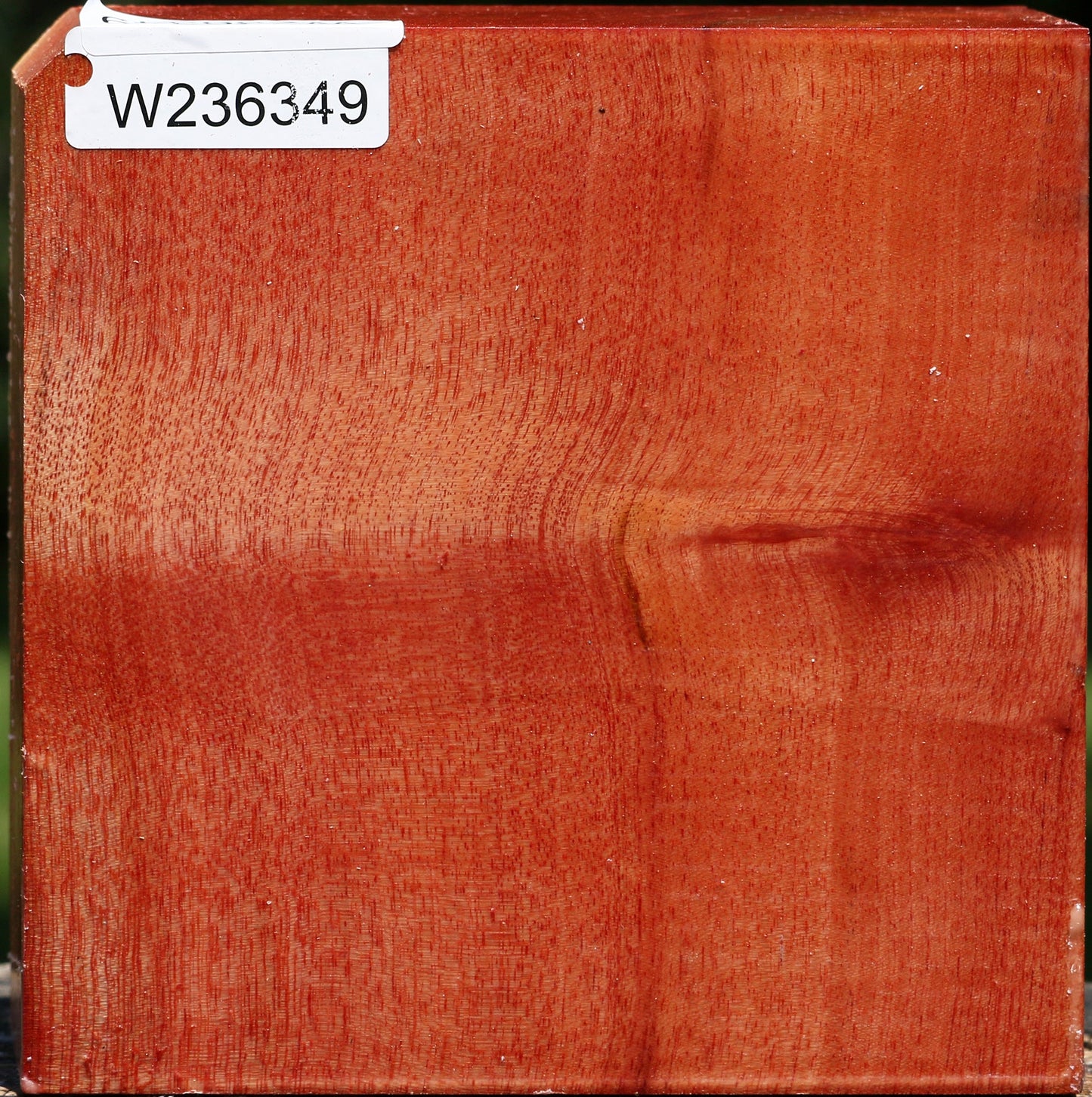 Pepperwood Bowl Blank