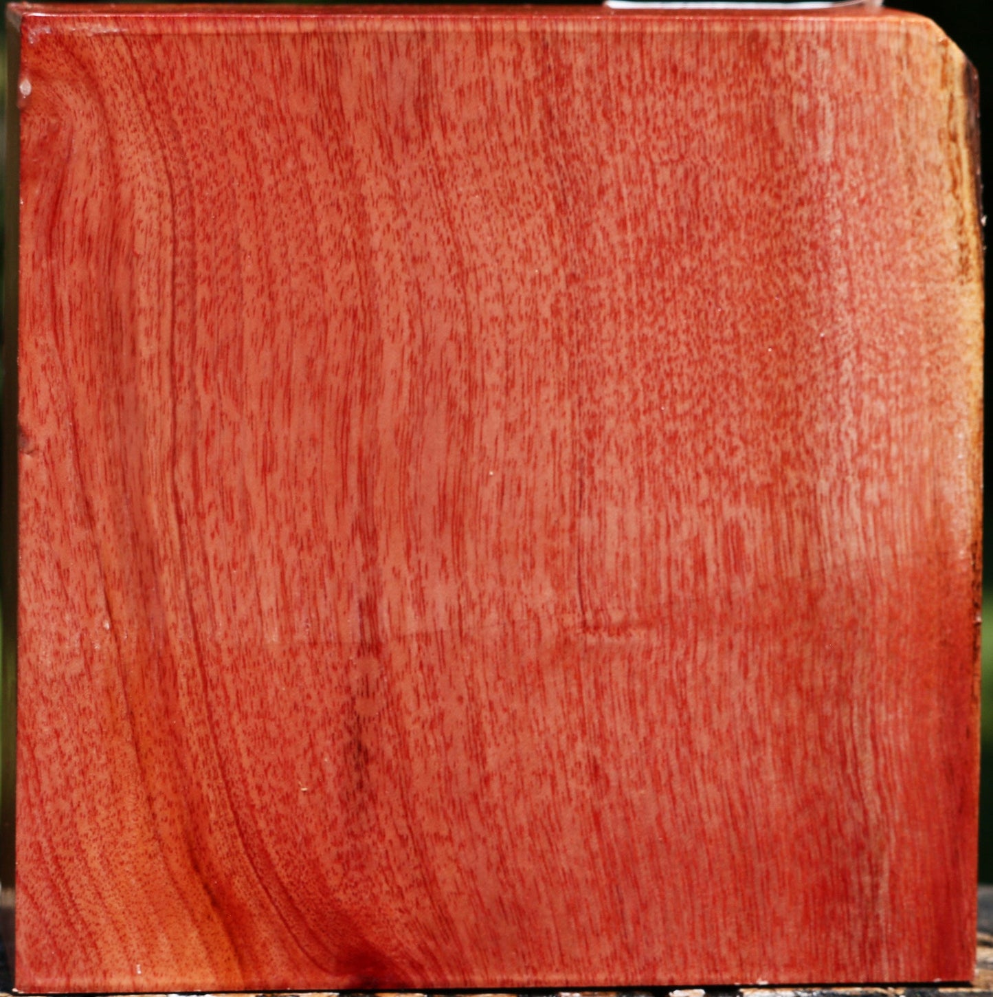 Pepperwood Bowl Blank