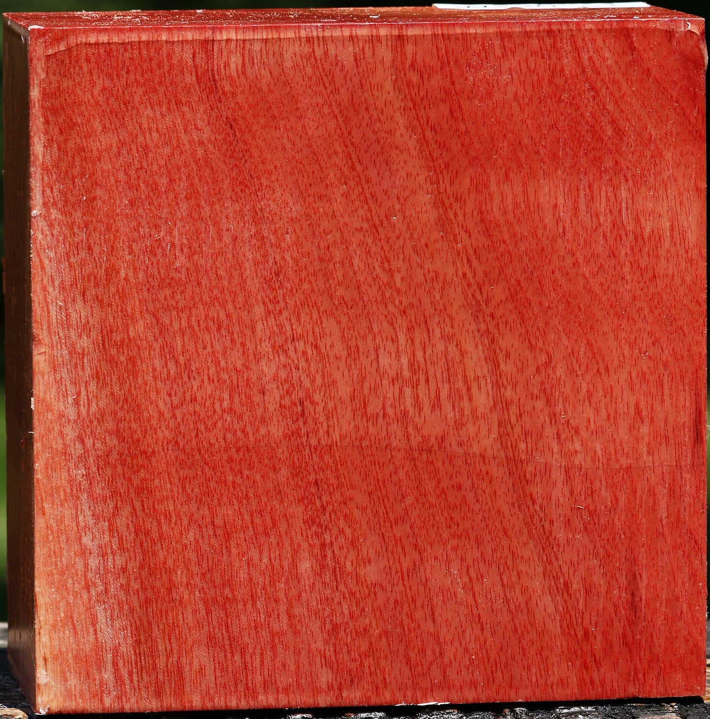 Pepperwood Bowl Blank