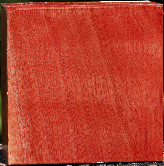 Pepperwood Bowl Blank