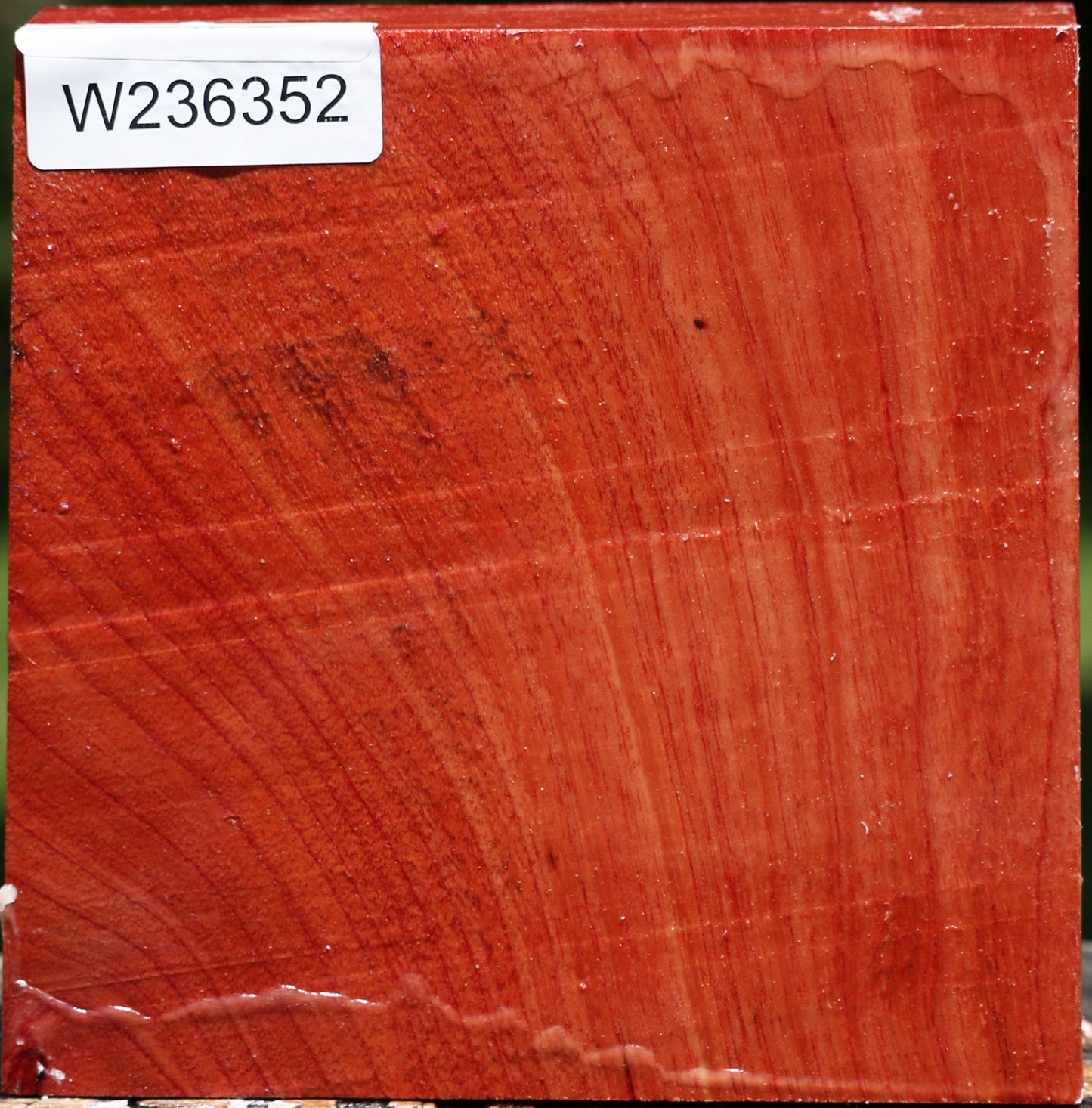 Pepperwood Bowl Blank