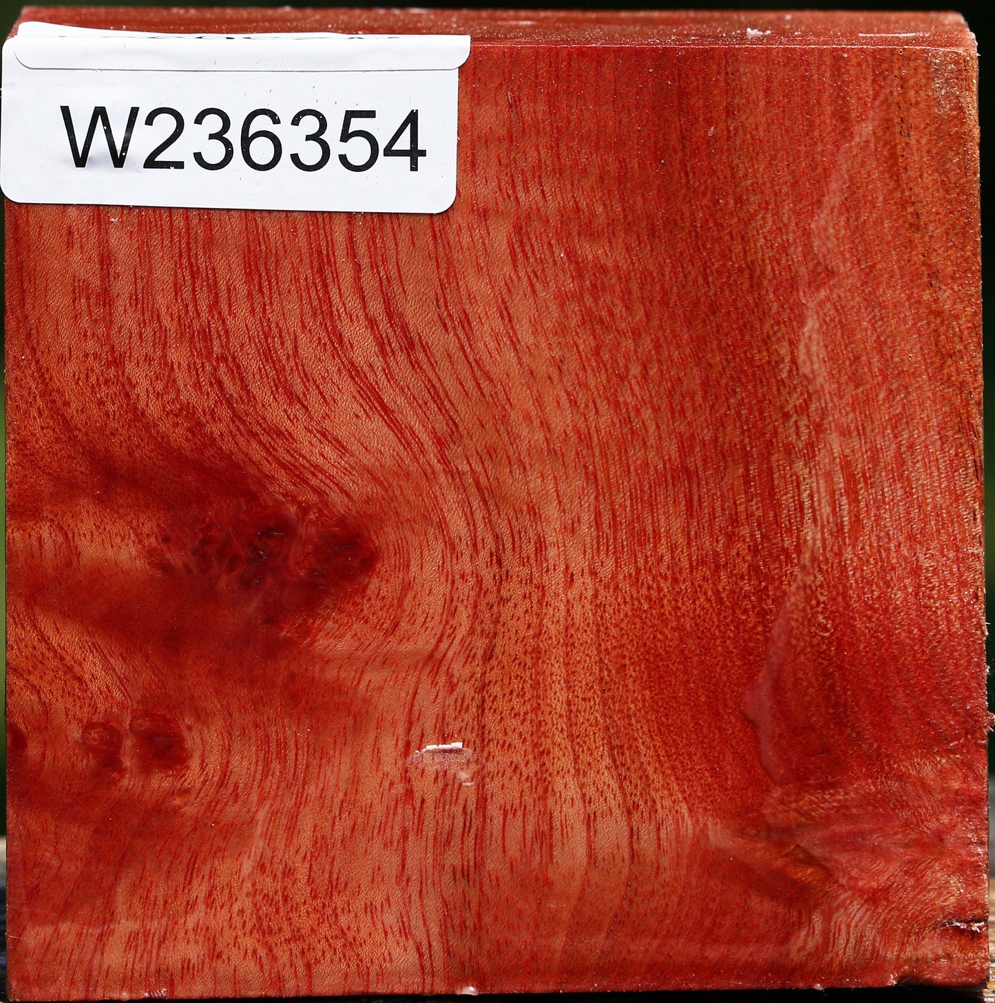 Figured Pepperwood Bowl Blank