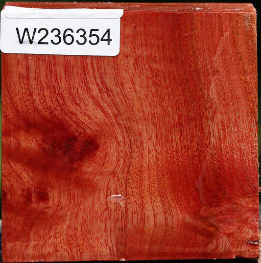 Figured Pepperwood Bowl Blank