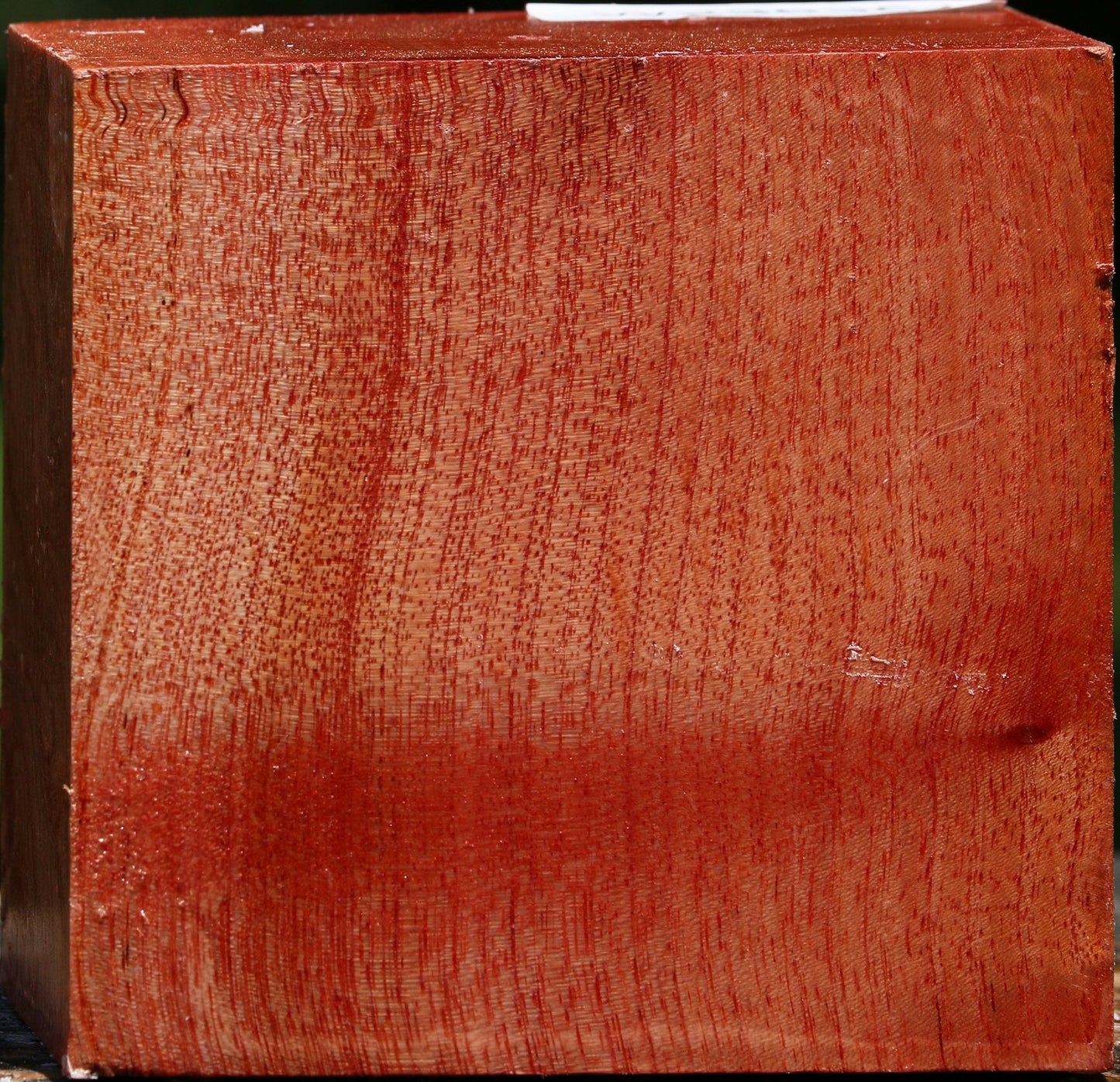 Figured Pepperwood Bowl Blank