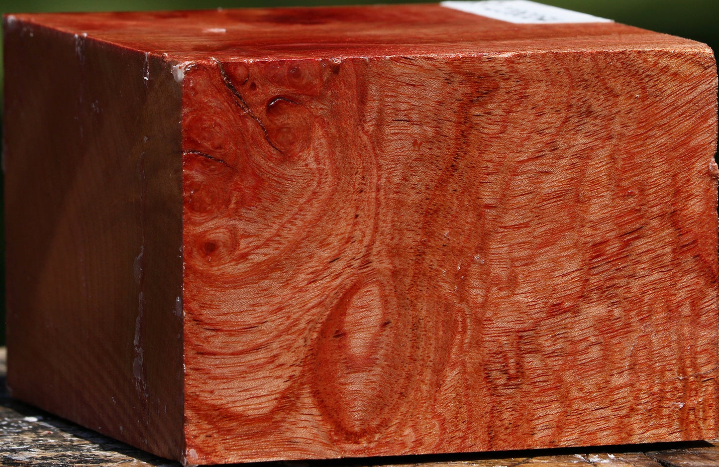 Figured Pepperwood Bowl Blank