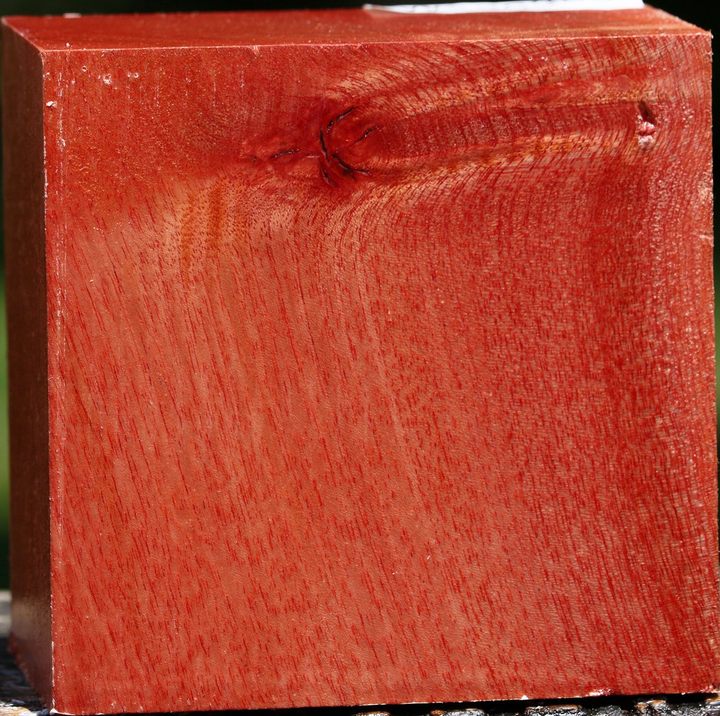 Pepperwood Bowl Blank