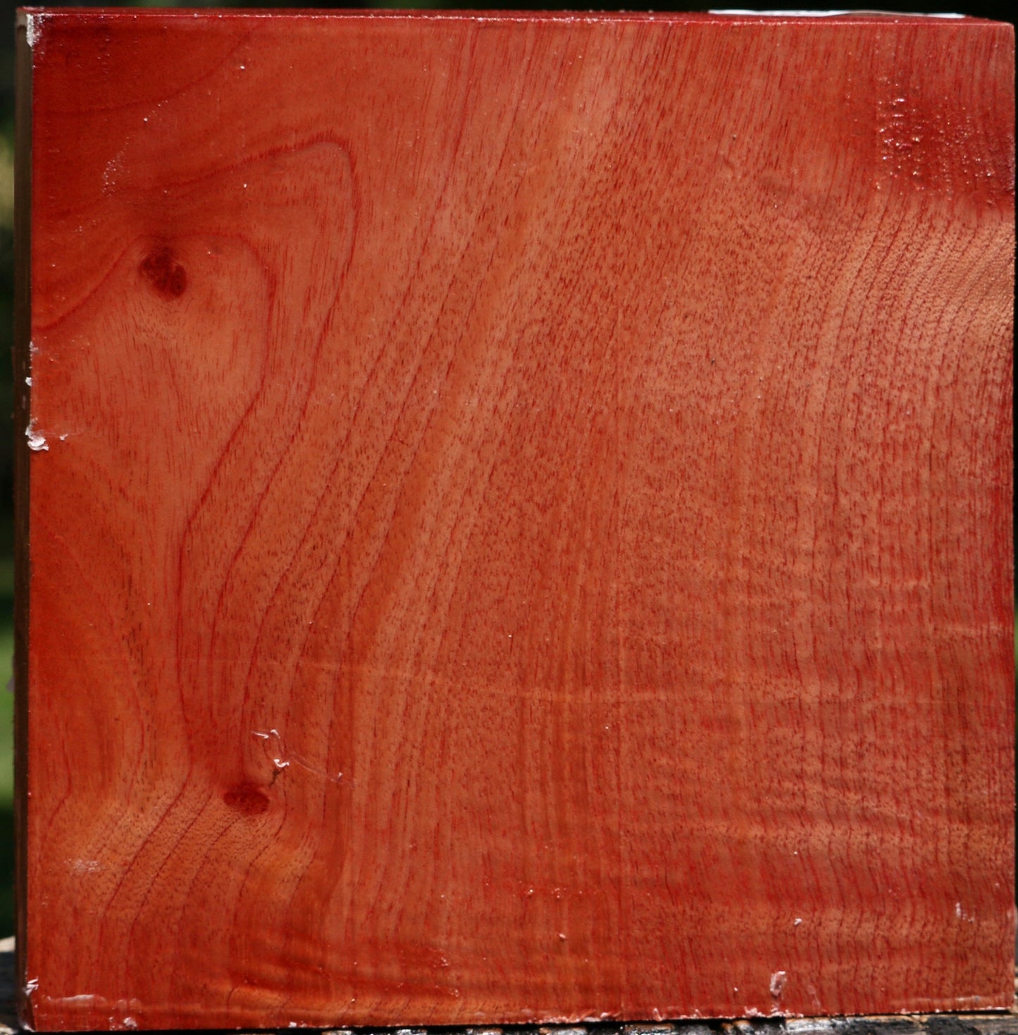 Pepperwood Bowl Blank