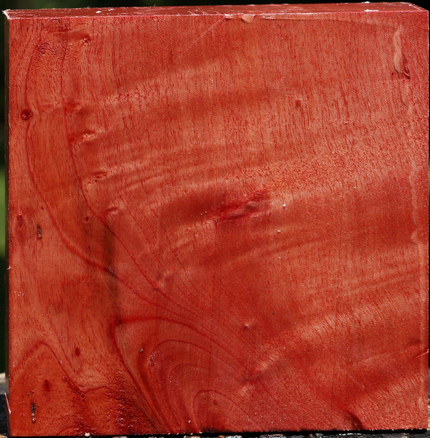 Figured Pepperwood Bowl Blank